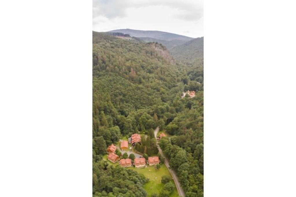 Ferienwohnung Forsthaus Am Brocken, 55 Qm, 2 Schlafzimmer F7 Ільзенбург Екстер'єр фото